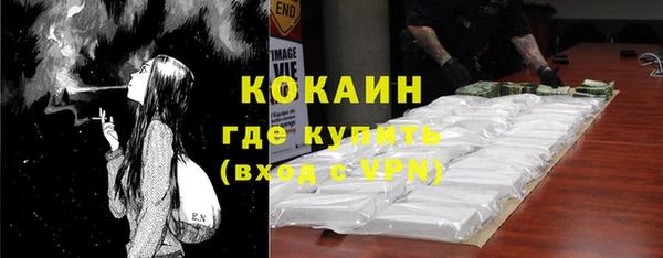 шишки Невьянск