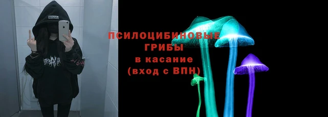 apvp Остров
