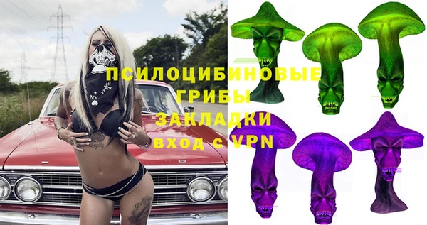 шишки Невьянск