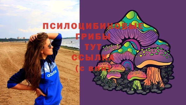 не бодяженный Осинники