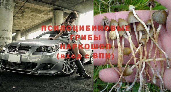шишки Невьянск