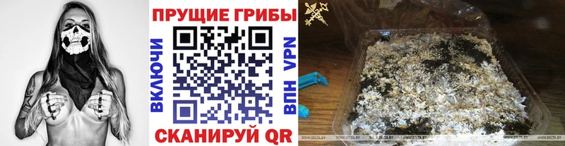 Галлюциногенные грибы Magic Shrooms дарнет шоп Правдинск