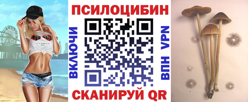 Галлюциногенные грибы прущие грибы Правдинск