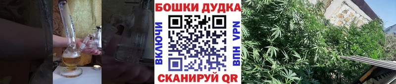 Конопля LSD WEED Правдинск